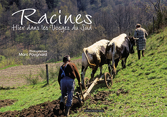 RACINES, HIER DANS LES VOSGES DU SUD - Marc Paygnard