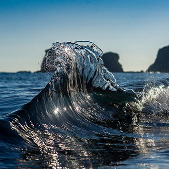  A – LE DIT VAGUES - Gregory Rabejac