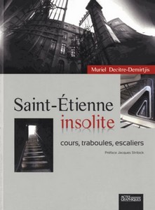 SAINT ETIENNE INSOLITE : COURS, TRABOULES, ESCALIERS - M. Decitre-Demirtjis