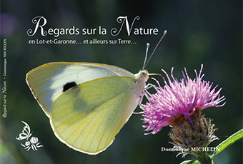   D - Regards sur la Nature - Dominique MICHELIN