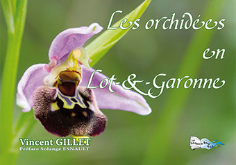 LES ORCHIDÉES EN LOT-ET-GARONNE - Vincent Gillet
