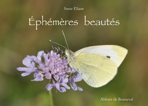 EPHEMERES BEAUTES - Sœur Éliane