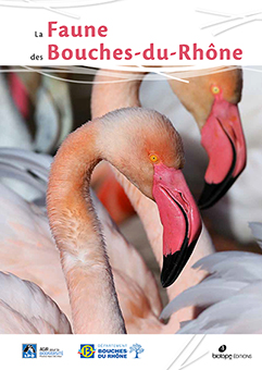 LA FAUNE DES BOUCHES-DU-RHONE - Collectif 