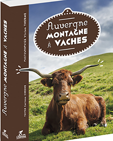 AUVERGNE : MONTAGNE A VACHES-Vivien Therme